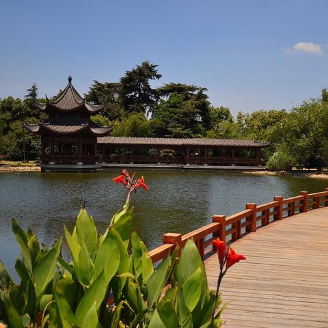 长沙市橘子洲是哪个县的