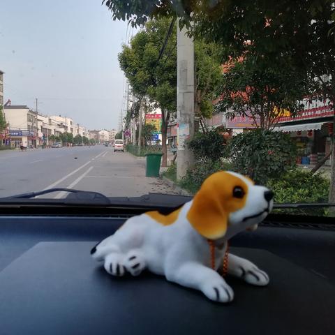 武汉市什么车能去啊