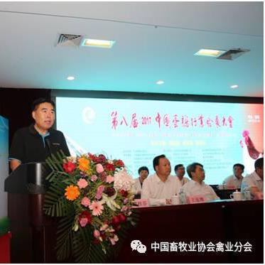 邯郸市蛋鸡多少钱一斤