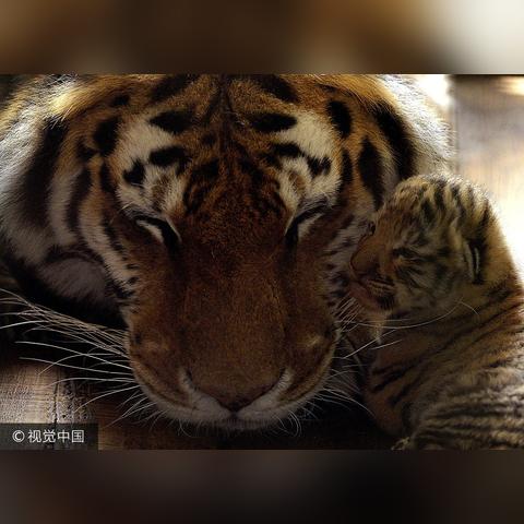 沈阳市哪个地方吃的最多