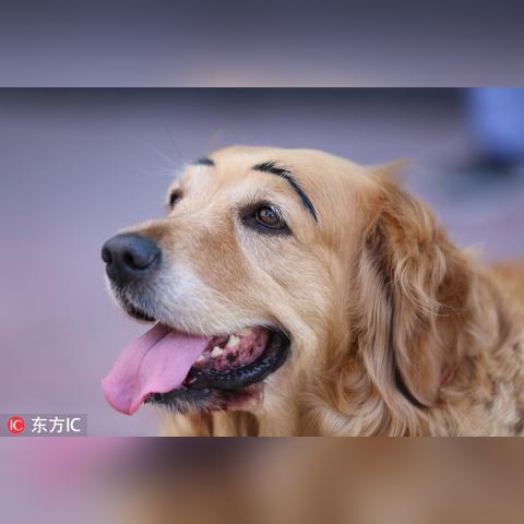 沈阳哪家纹眉做得最好？