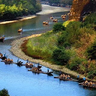 厦门金砖 武夷山的相关长尾关键词有哪些