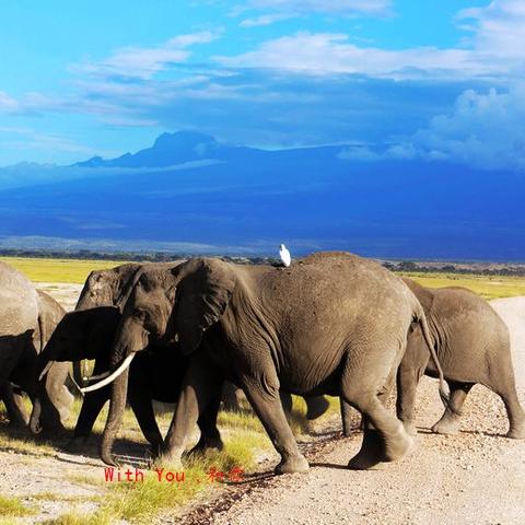 兰州大象山的相关长尾关键词有哪些