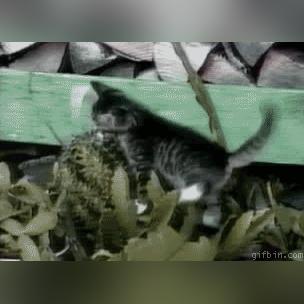 挠姐姐脚心的文章大全的长尾关键词有哪些