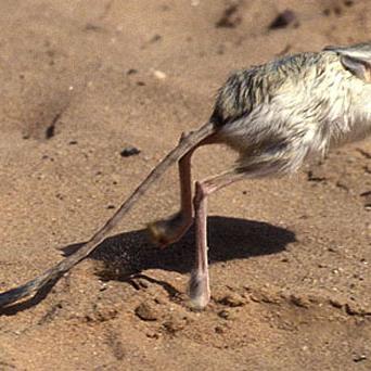 武汉四倍的长尾关键词有哪些