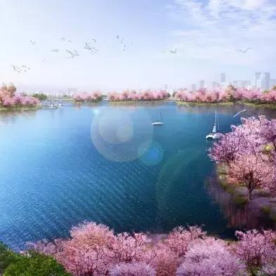 合肥市什么湖最大