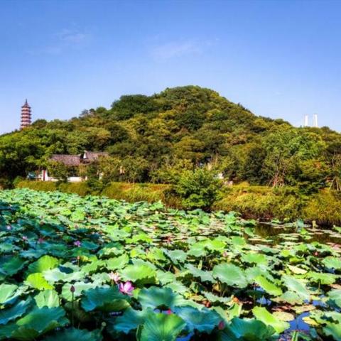 宁波市哪个镇比较偏
