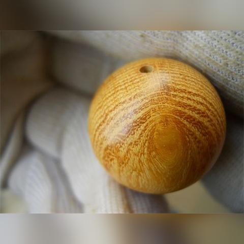 济南哪里有柘树相关长尾关键词有哪些