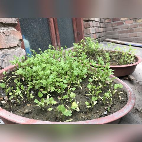 兰州市拍摄地点在哪里