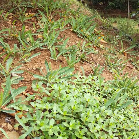 2025.12.21大连今天空气质量指数怎么样