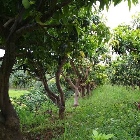 南宁市古城哪个好玩