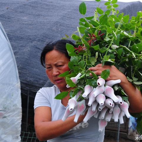 苏州和杭州教育哪个好？