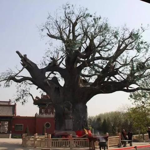 河间到邯郸市多少公里啊