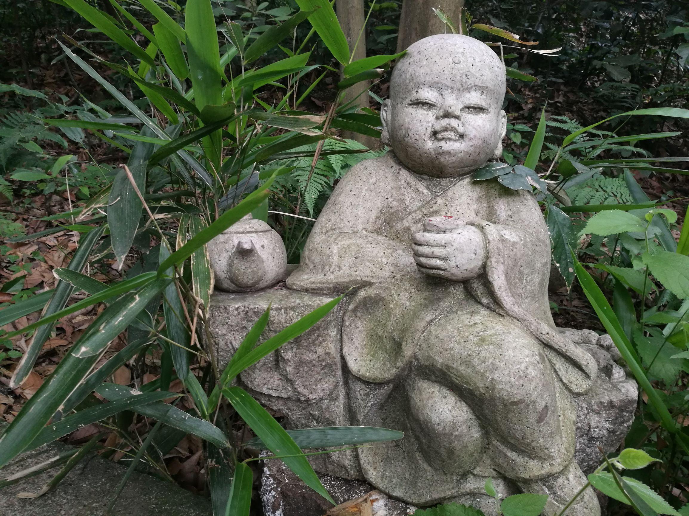 梦境解析，我梦见老虎咬我的手，意味着什么？