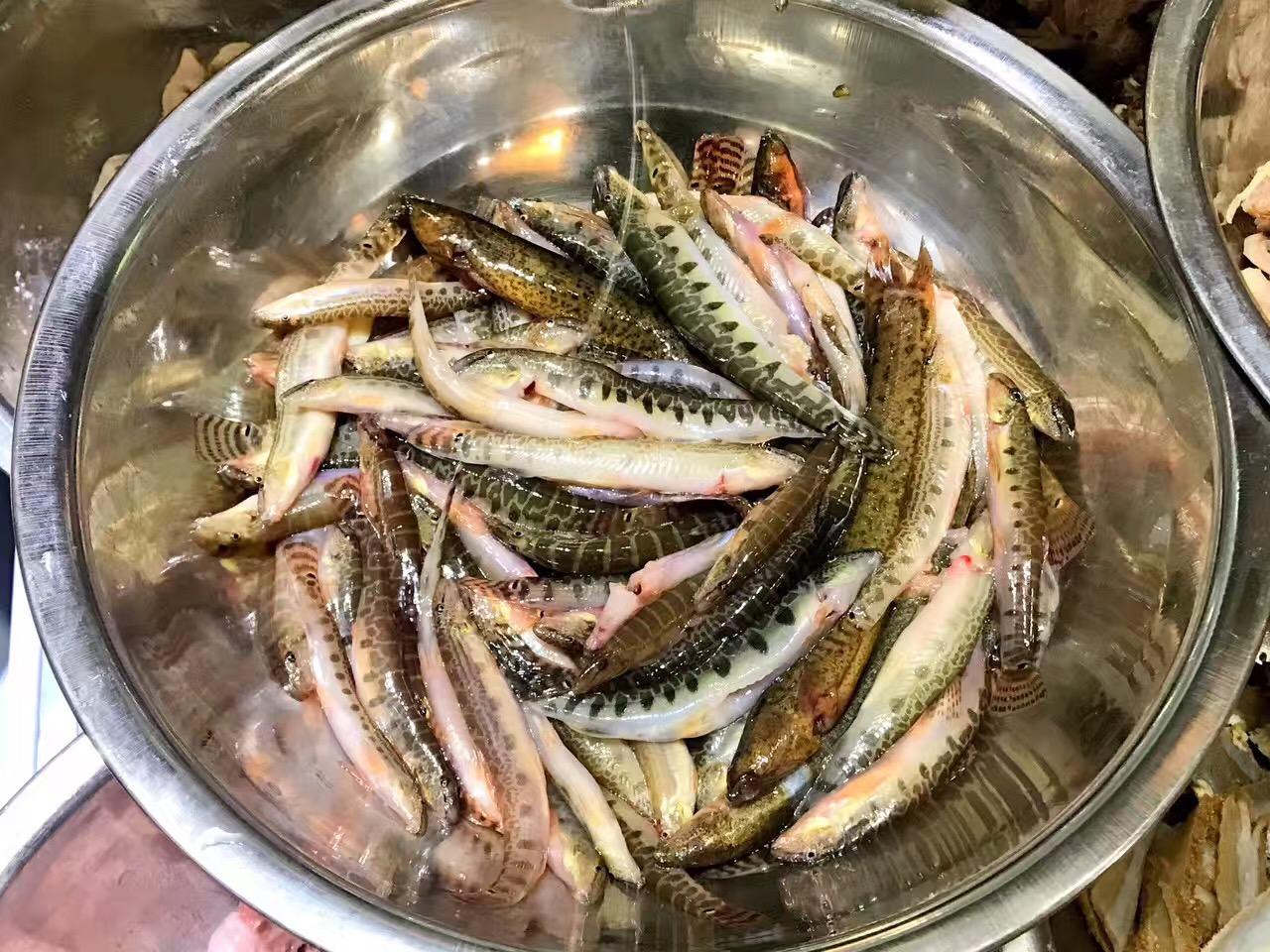 梦境捕鱼的深层寓意，探索梦见抓鱼的神秘象征与心理解读