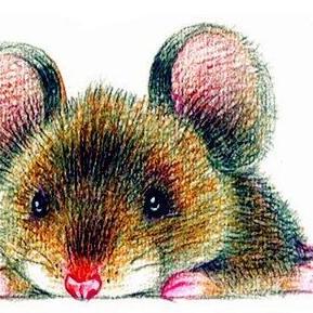 生肖牛今日运势查看(牛肖牛今日运势)