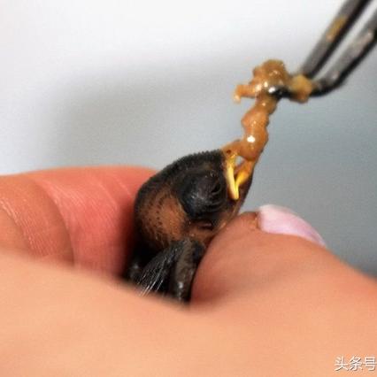 武汉封闭社区的相关长尾关键词有哪些