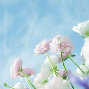 七杀格遇七杀大运(七杀格遇七杀大运好吗)