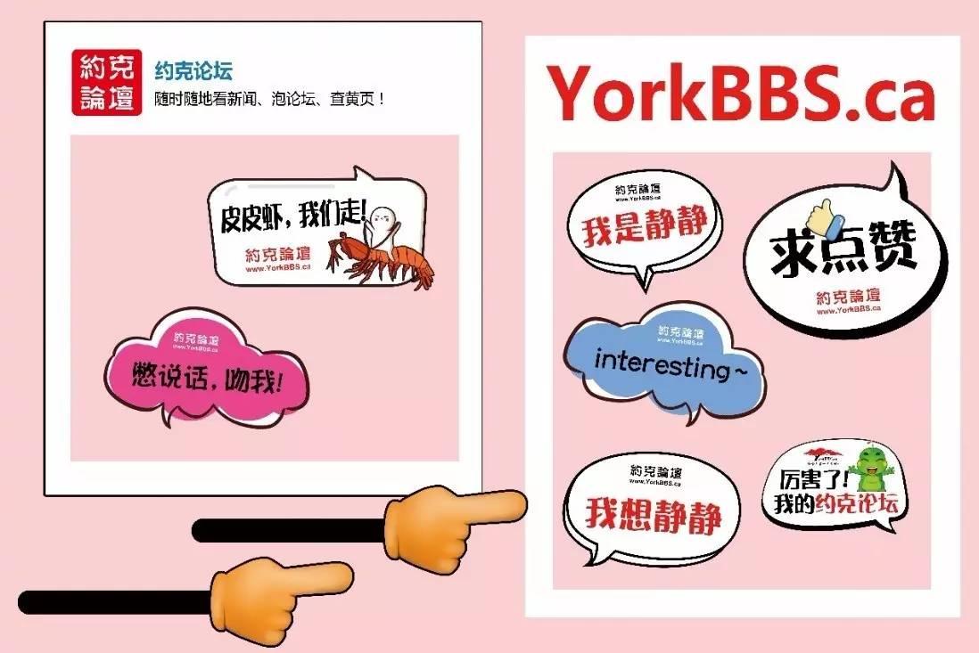 照美食用什么软件（做餐饮的都在什么网站或者app学习）