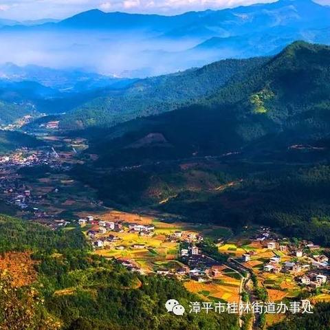【桂林今日生猪价格】2025年11月9日桂林生猪价格是多少