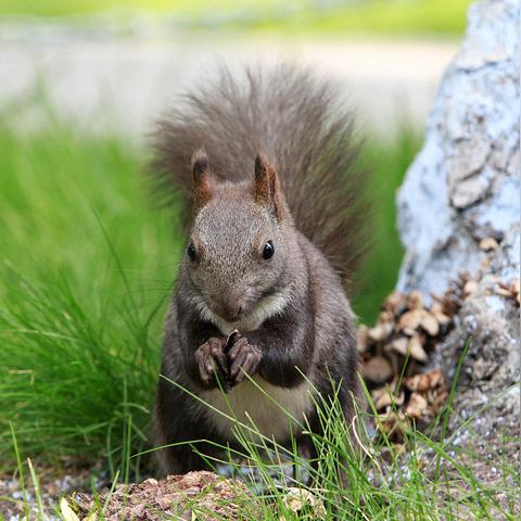 哈尔滨市的乐园在哪里呀