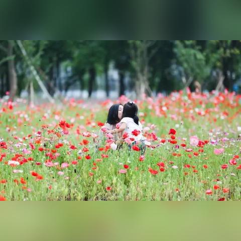 宁波市公交公司叫什么