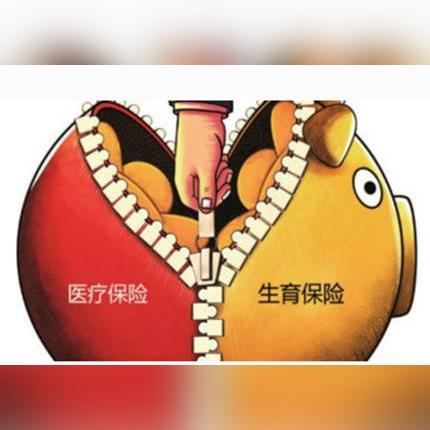 沈阳市生育保险怎么算