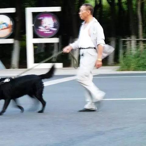 哈尔滨骨伤科医院怎么样相关长尾关键词有哪些