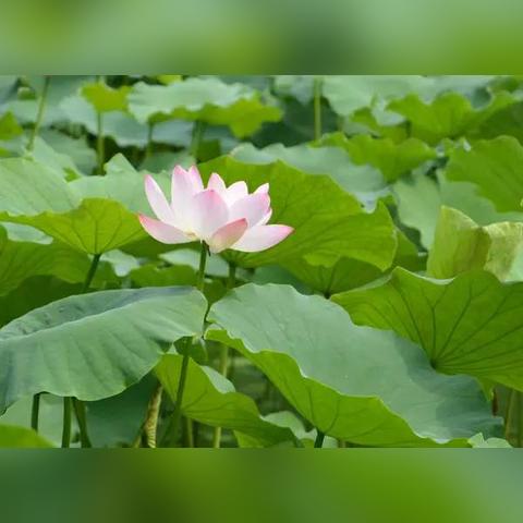 下雨天成都市哪里好玩