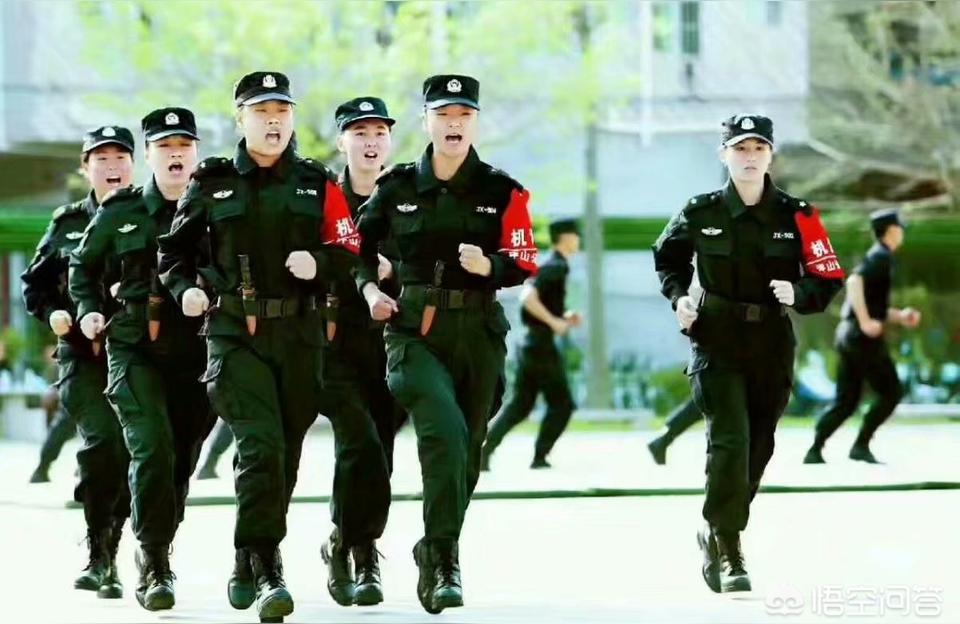 警察技术毕业论文的范文警综是什么