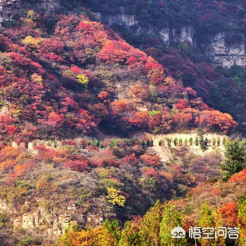 谁是石家庄市第一迷宫的长尾关键词有哪些