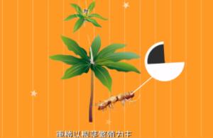 重楼种植技术