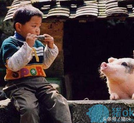 梦境的惊扰，解析今晚梦到孩子刚出生即遭抢夺的深层含义