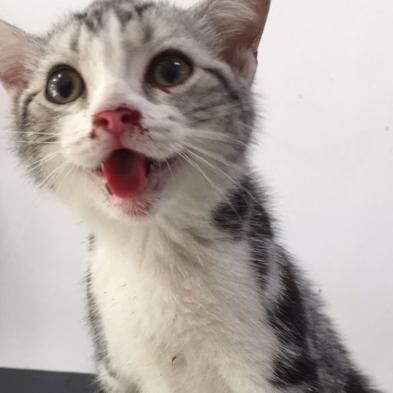 小便带血是什么原因