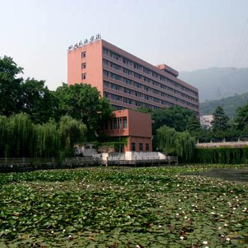 重庆大学外国语院的长尾关键词有什么