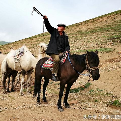 八月乌鲁木齐气温的长尾关键词有什么
