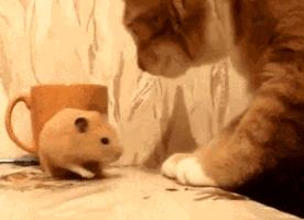 梦境中的寻觅，梦见老朋友来我家，却找不到饭店