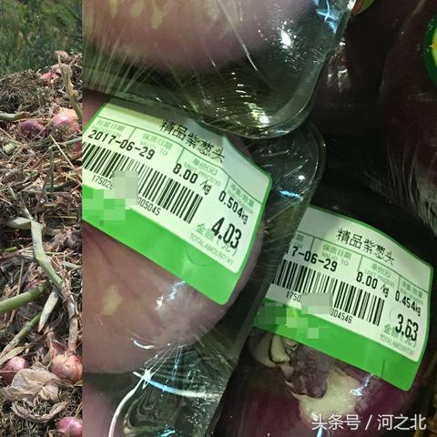 石家庄市设施蔬菜的长尾关键词有什么