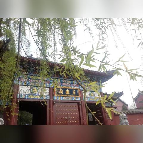 河南商水怎么样