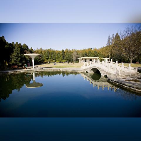 西安市63中在什么地方