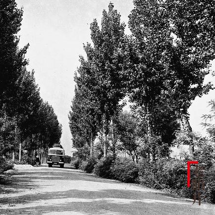 临沂市哪个县通客车了