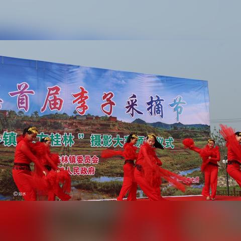 桂林摘李子的地方相关长尾关键词有哪些