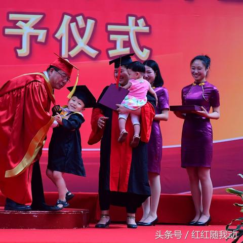 沈阳市博士园在哪个区