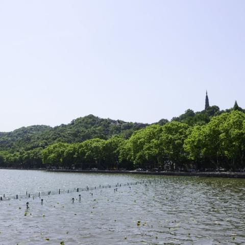 杭州市共享单车哪个多