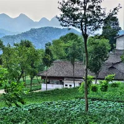 东莞市好人家农庄在哪里