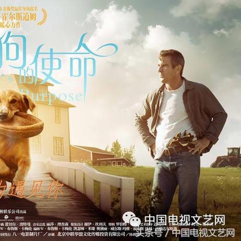 使命召唤电脑版（使命召唤电脑版，经典射击游戏的重生与魅力）