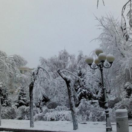 郑州离哈尔滨市多少公里