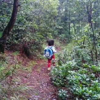 河南大山食品怎么样