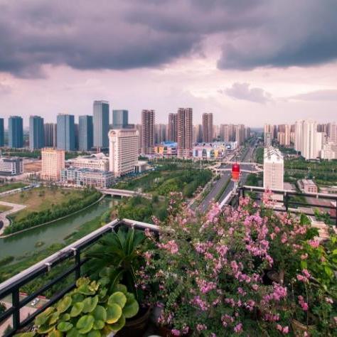 合肥市是哪个省的省会呢