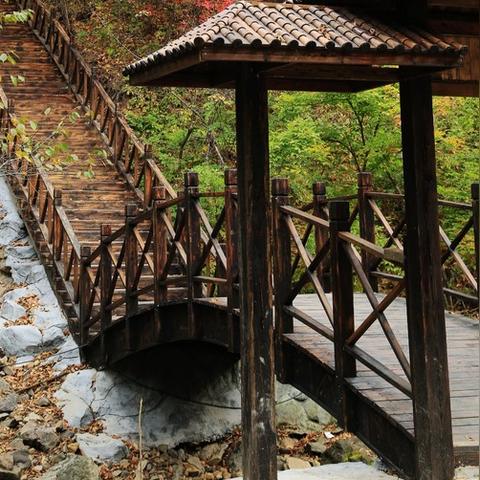 沈阳到天女山多少公里相关长尾关键词有哪些